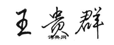 駱恆光王貴群行書個性簽名怎么寫