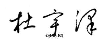 梁錦英杜宇澤草書個性簽名怎么寫