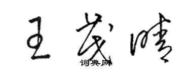 駱恆光王茂晴草書個性簽名怎么寫