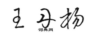 駱恆光王丹楊草書個性簽名怎么寫