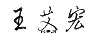 駱恆光王艾宏行書個性簽名怎么寫