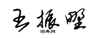 朱錫榮王振野草書個性簽名怎么寫