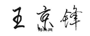 駱恆光王京鋒行書個性簽名怎么寫