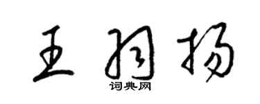 梁錦英王羽揚草書個性簽名怎么寫
