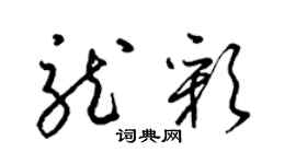 梁錦英龍彩草書個性簽名怎么寫