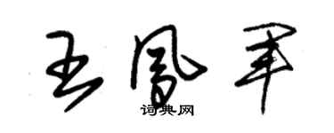 朱錫榮王鳳軍草書個性簽名怎么寫