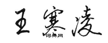 駱恆光王寒凌行書個性簽名怎么寫