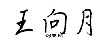 王正良王向月行書個性簽名怎么寫