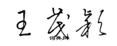 駱恆光王茂穎草書個性簽名怎么寫