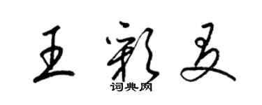 梁錦英王彩友草書個性簽名怎么寫