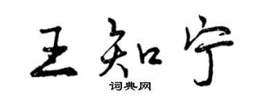 曾慶福王知寧行書個性簽名怎么寫