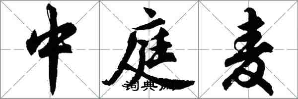 胡問遂中庭麥行書怎么寫