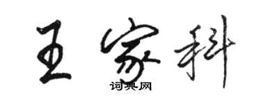 駱恆光王家科行書個性簽名怎么寫