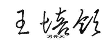 駱恆光王培領草書個性簽名怎么寫