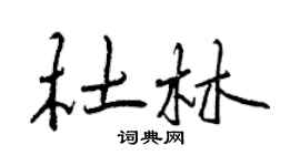 曾慶福杜林行書個性簽名怎么寫