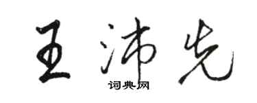 駱恆光王沛先行書個性簽名怎么寫