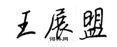 王正良王展盟行書個性簽名怎么寫