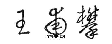 駱恆光王甫攀草書個性簽名怎么寫