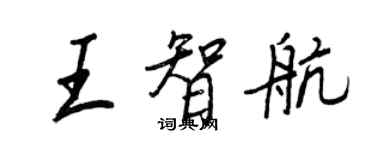 王正良王智航行書個性簽名怎么寫