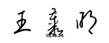 梁錦英王叢明草書個性簽名怎么寫