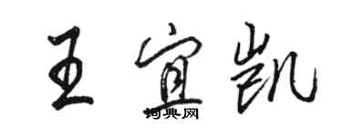 駱恆光王宜凱行書個性簽名怎么寫