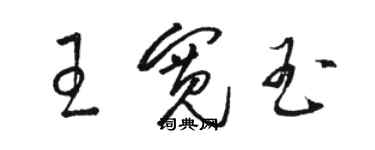 駱恆光王寬玉草書個性簽名怎么寫