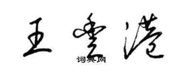 梁錦英王豐港草書個性簽名怎么寫