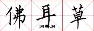 何伯昌佛耳草楷書怎么寫