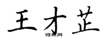 丁謙王才芷楷書個性簽名怎么寫