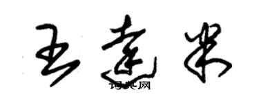 朱錫榮王達米草書個性簽名怎么寫