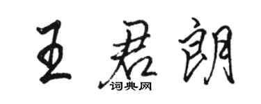 駱恆光王君朗行書個性簽名怎么寫