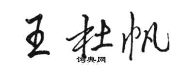駱恆光王杜帆行書個性簽名怎么寫