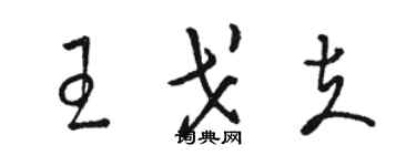 駱恆光王戈夫草書個性簽名怎么寫