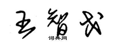 朱錫榮王智戈草書個性簽名怎么寫