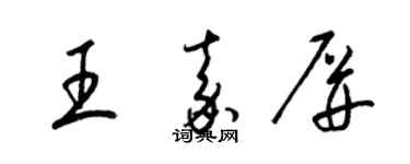 梁錦英王嘉屏草書個性簽名怎么寫