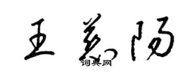 梁錦英王慈陽草書個性簽名怎么寫