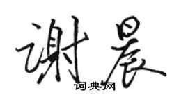 駱恆光謝晨行書個性簽名怎么寫