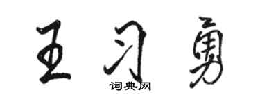 駱恆光王習勇行書個性簽名怎么寫