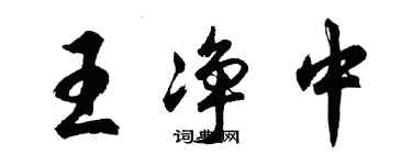 胡問遂王淨中行書個性簽名怎么寫