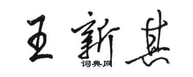 駱恆光王新其行書個性簽名怎么寫