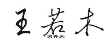 駱恆光王若木行書個性簽名怎么寫
