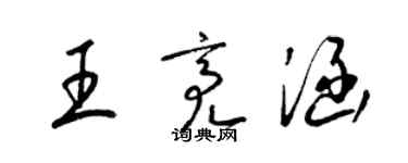 梁錦英王亮涵草書個性簽名怎么寫