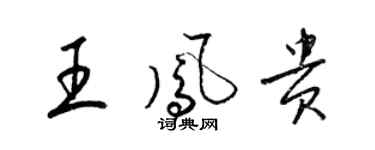 梁錦英王鳳貴草書個性簽名怎么寫
