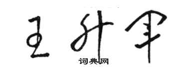 駱恆光王升軍草書個性簽名怎么寫