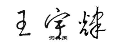 駱恆光王宇輝草書個性簽名怎么寫