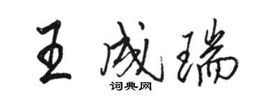 駱恆光王成瑞行書個性簽名怎么寫