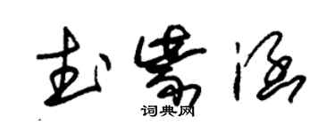 朱錫榮武紫涵草書個性簽名怎么寫