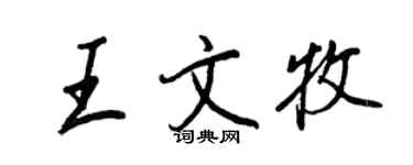 王正良王文牧行書個性簽名怎么寫