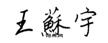 王正良王蘇宇行書個性簽名怎么寫