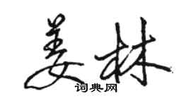 駱恆光姜林行書個性簽名怎么寫